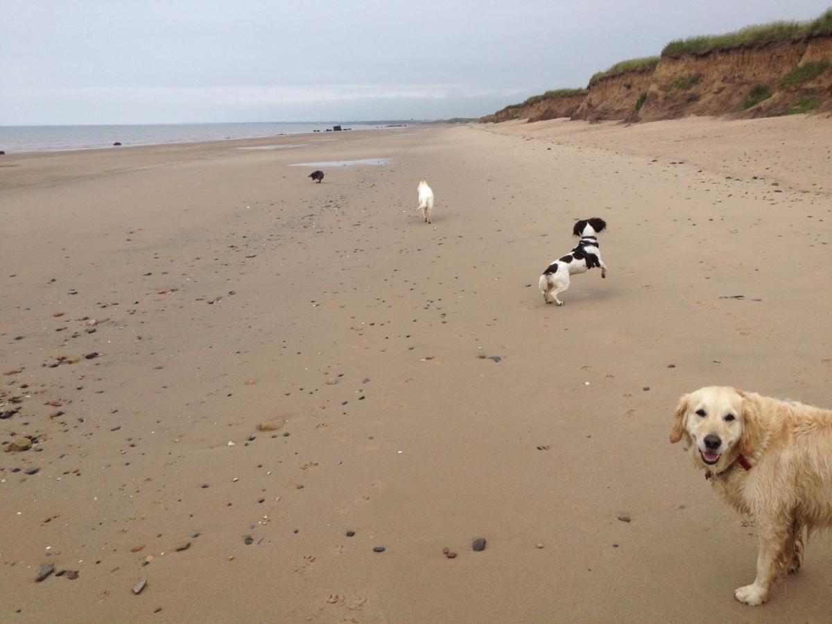 Cosy Dog Friendly Cottage Sleeps 4 Bridlington Esterno foto